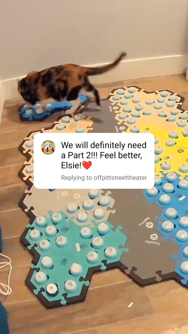 Instagram post by @elsiewants for FluentPet. Caption reads: [...] to have it be taken as totally normal.....