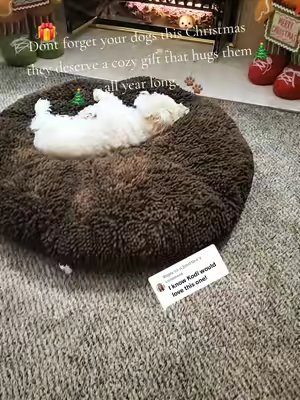 TikTok post by @cottagegarden9 for Muddy Mat. Caption reads: [...] a comforting cozy hug all year. @Muddy Mat....