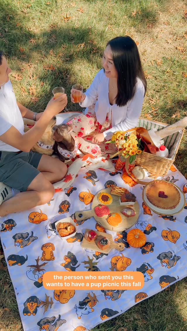Instagram post by @mayathedox for Sassy Woof. Caption reads: ⊹ This is your sign to have a picnic outside with....