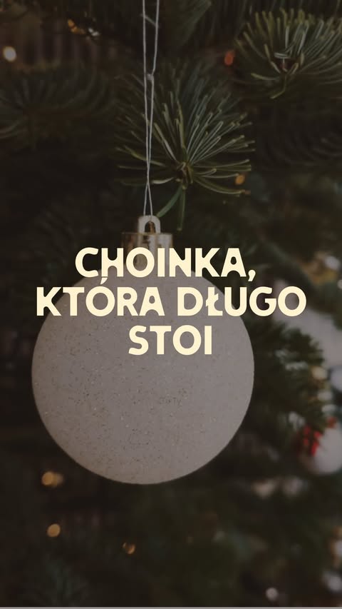 Instagram post by @ogrodnik.doskonaly for RYOBI Tools. Caption reads: [Współpraca ambasadorska] Chcesz, żeby choinka....