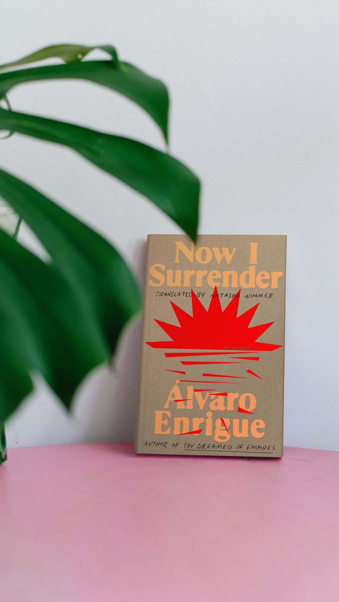 Instagram post by @tomesandtextiles for Riverhead Books. Caption reads: AD | @riverheadbooks 

I’m thrilled to be....