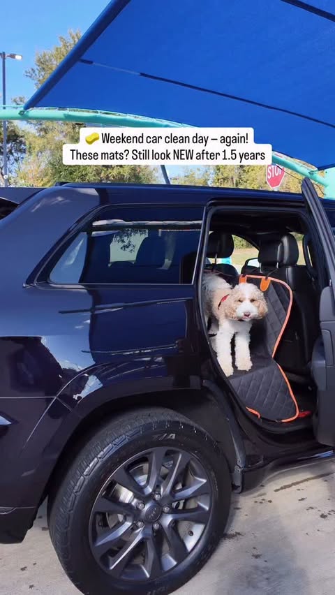 Instagram post by @busekkamci for 3Wliners. Caption reads: [...] obsessed after 1.5 years 🙌 These....