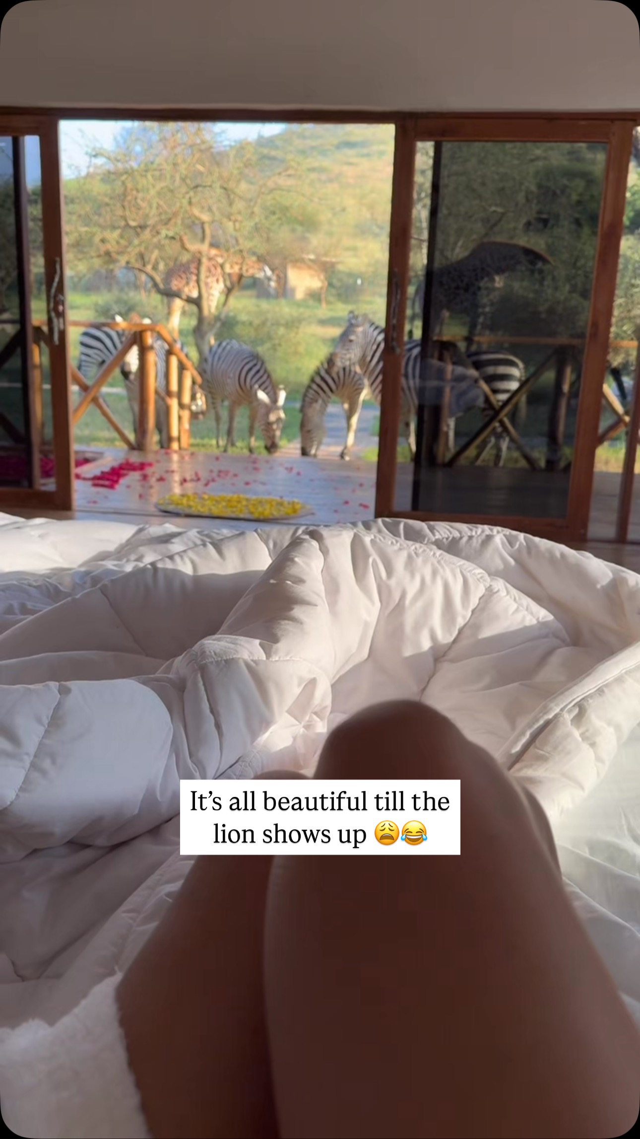 Instagram post by @safaris for Hotels.com. Caption reads: The Most Beautiful Safari Lodge in Africa 🥹🦒....