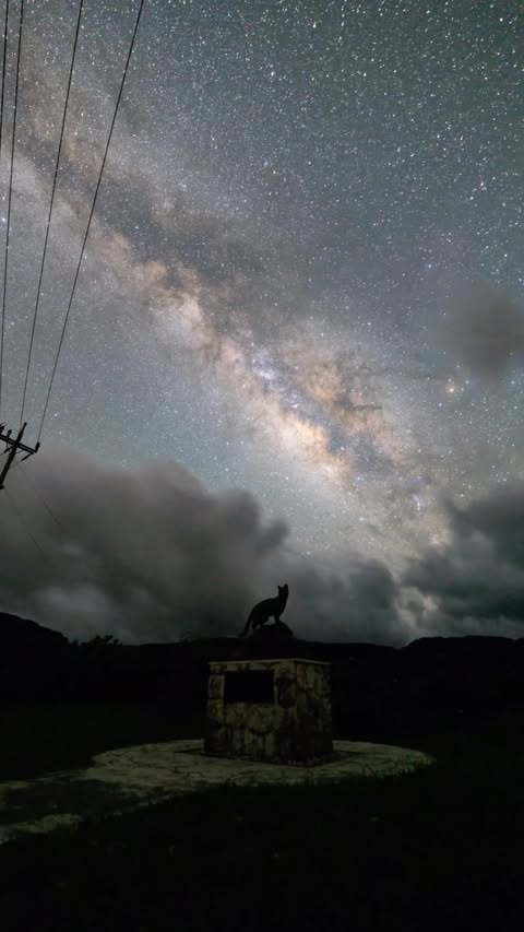 Instagram post by @takemochi.y for Canon USA. Caption reads: 🌌 EOS R6V 🌌 西表島で星空を撮ってきました🙋🏽‍♂️📷....