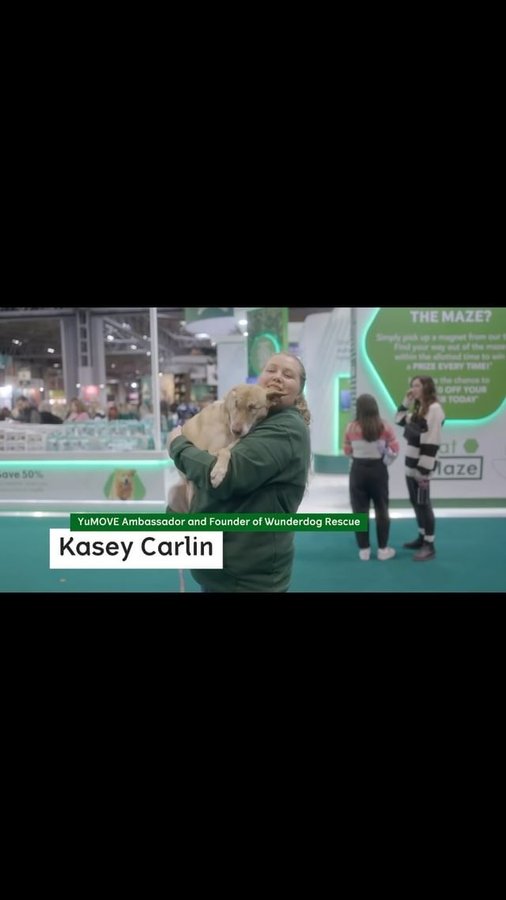 Instagram post by @maggiethewunderdog for YuMOVE. Caption reads: It’s a wrap! The final day of Crufts 2024 has just....