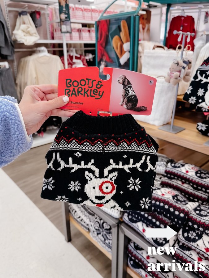 Instagram post by @target_cheer for MakeUp Eraser. Caption reads: I found so many new arrivals today 🎯 I also found....