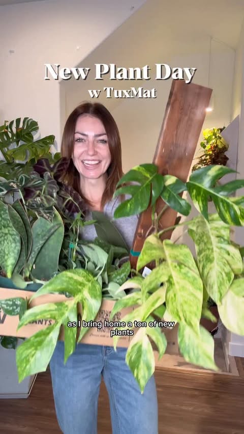 Instagram post by @mariahgrows for TuxMat. Caption reads: [...] 🌿🌿

I’m protecting my car with @tuxmatinc....