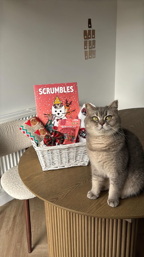 Instagram post by @remi.green_ for Scrumbles. Caption reads: Your cat deserves a burr basket too 🧺🎄

Remi....