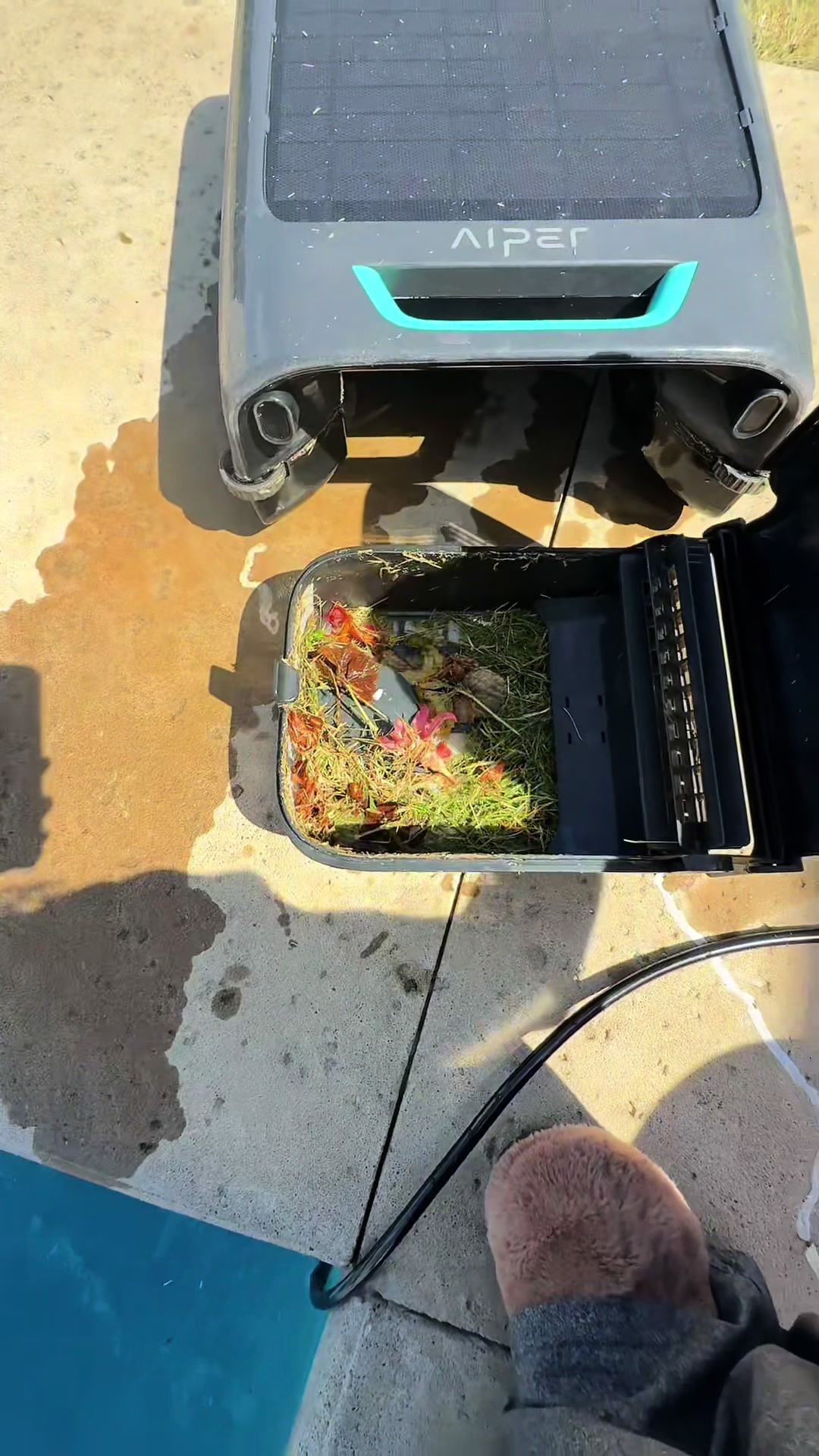 TikTok post by @mandi_under_influence for Refined Living. Caption reads: [...] #poolcleaning #poollife #poolday....