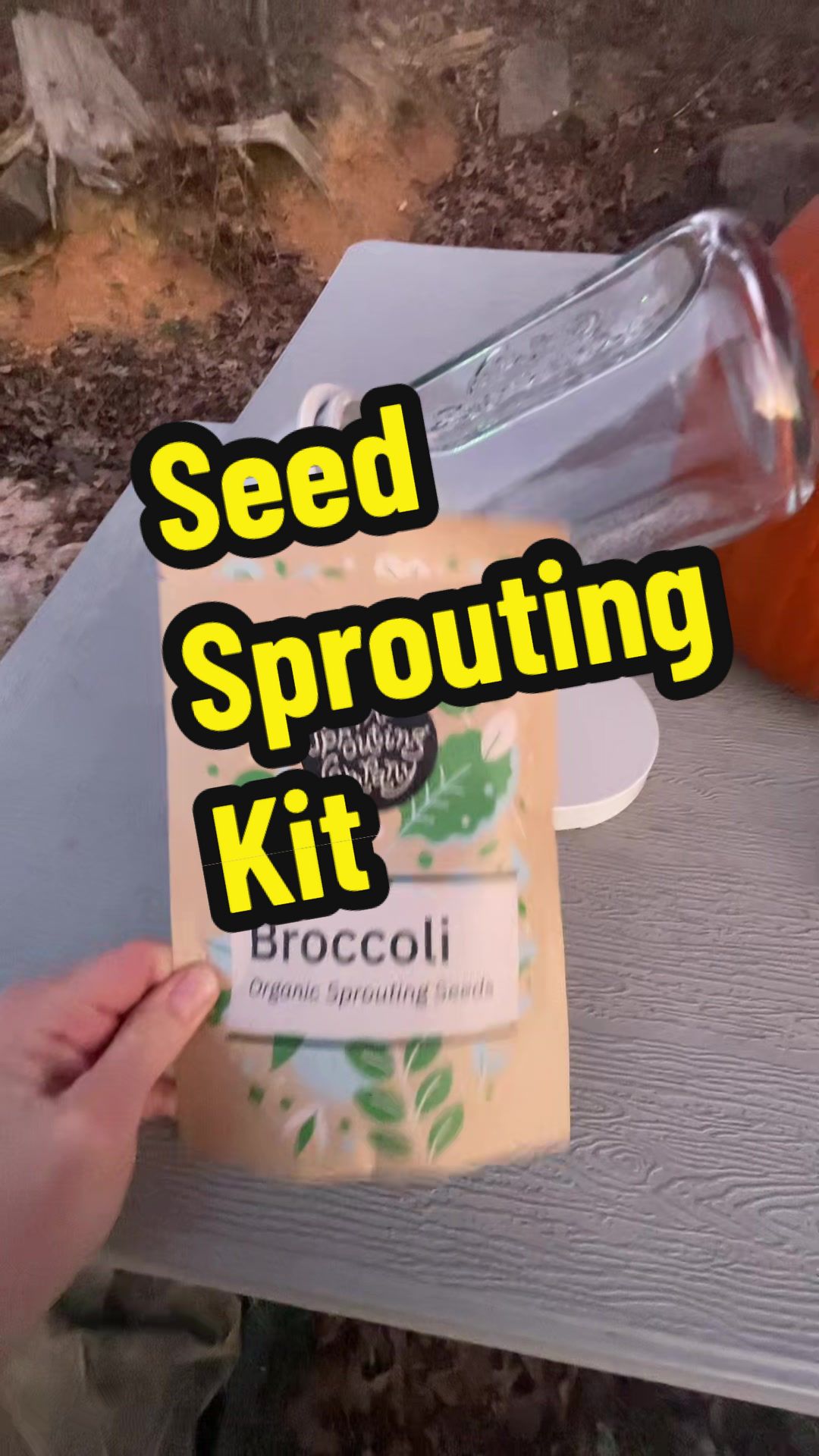 TikTok post by @themole2005_official for The Sprouting Company. Caption reads: [...] #growyourownfood....