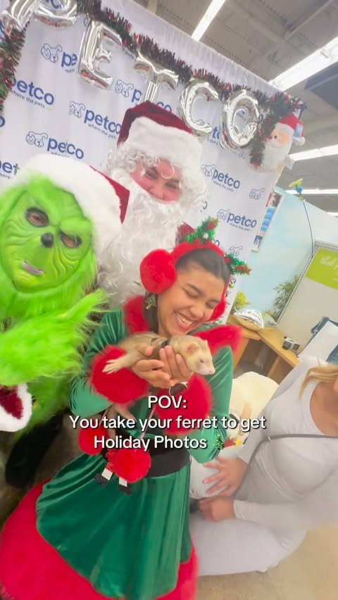 Instagram post by @moonthecinnamonferret for Petco. Caption reads: Today Moon got to take some holiday photos at....