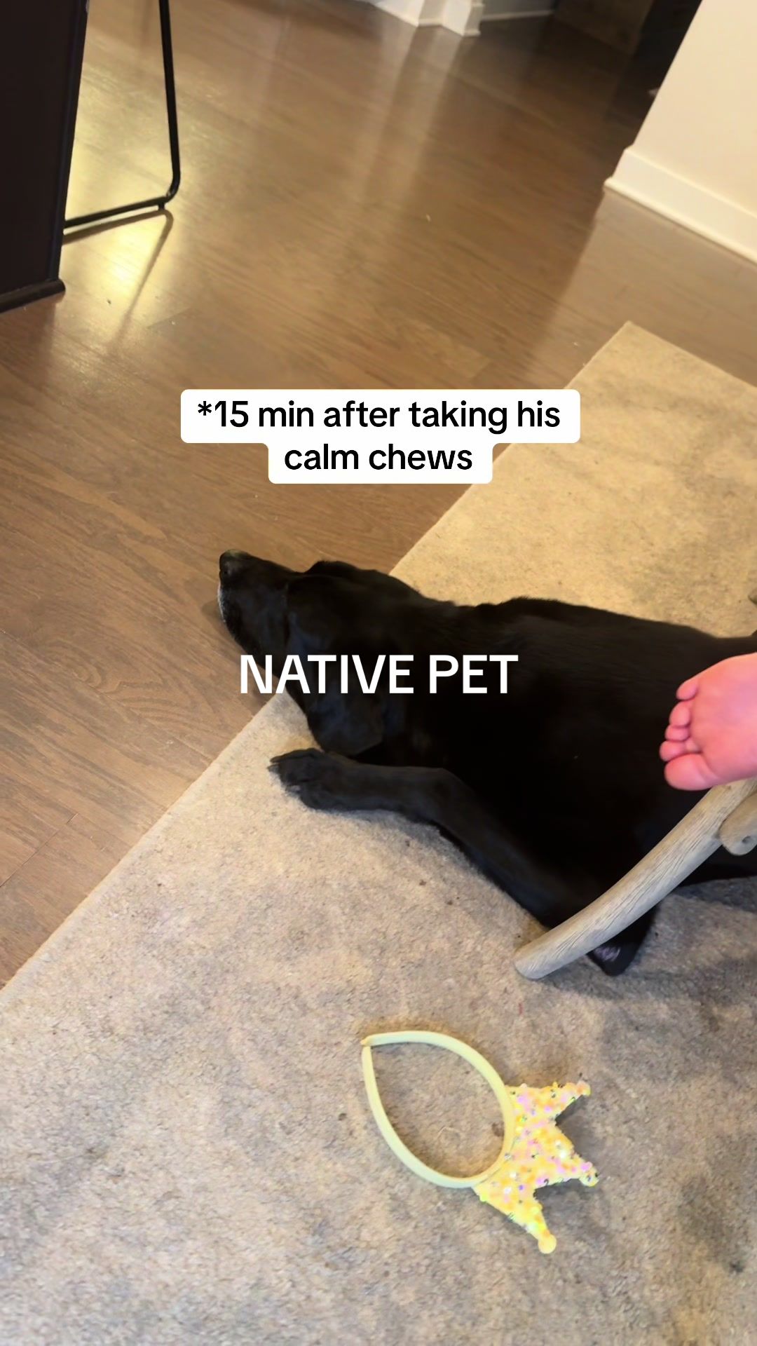 TikTok post by @kenzieleigh_ for Native Pet. Caption reads: [...] your dog has storm anxiety @Native Pet....