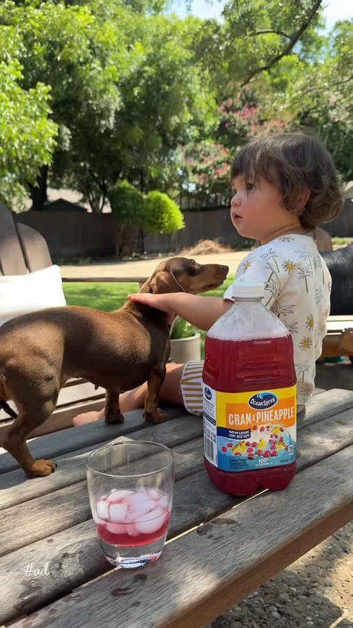 Instagram post by @camille.elena for Ocean Spray. Caption reads: [...] get when we just slow down with him....