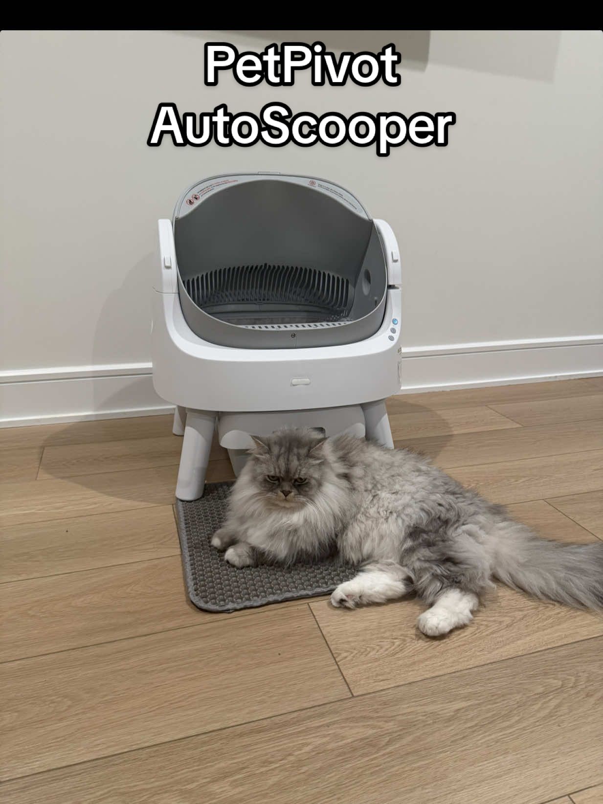 TikTok post by @shwetamalkar_ for PetPivot. Caption reads: Less mess, happier cat 🐾 The PetPivot litter box....