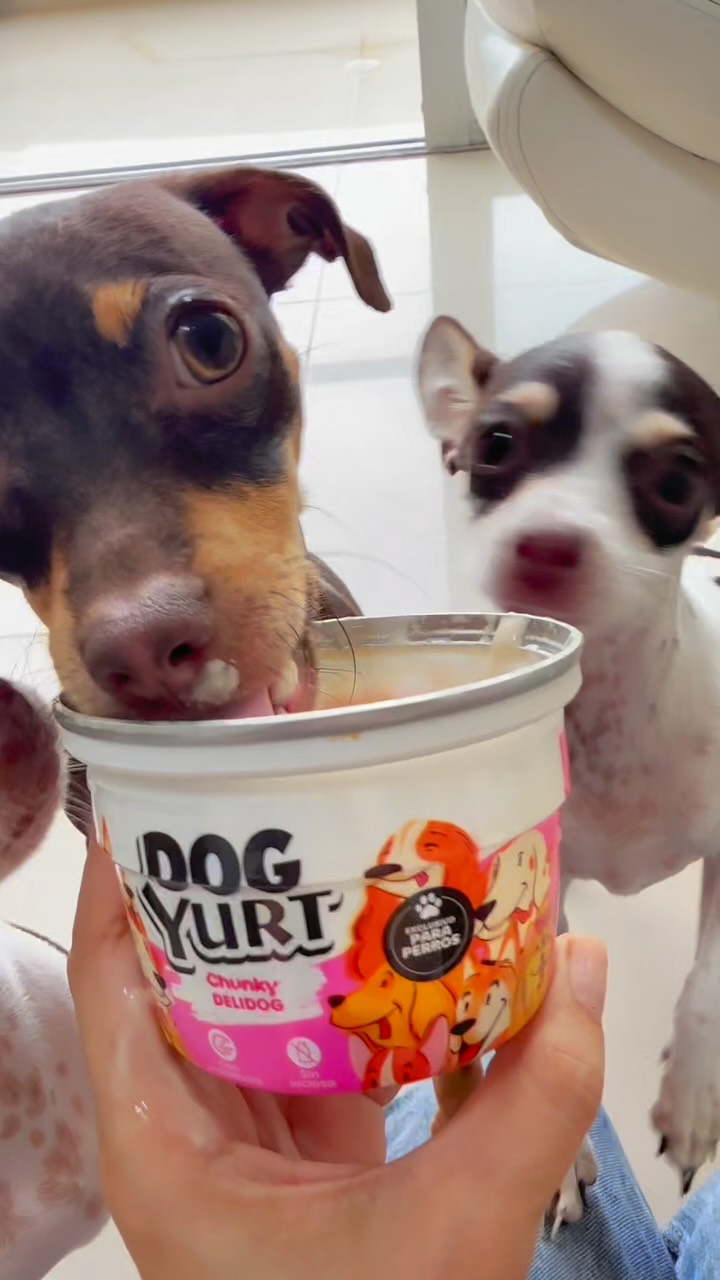 Instagram post by @manchitaselpinscher for Alpina. Caption reads: Morrrr La primera palabra de mis criaturitas....