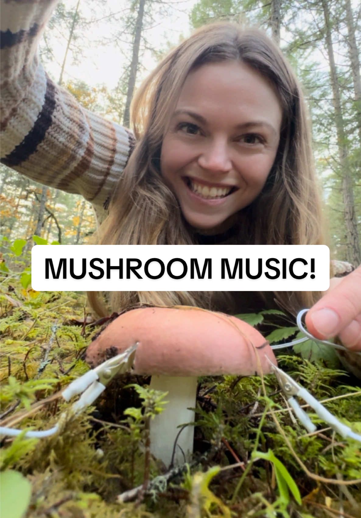 TikTok post by @thenatureeducator for PlantWave. Caption reads: [...] they're buzzing with bioelectricity!....