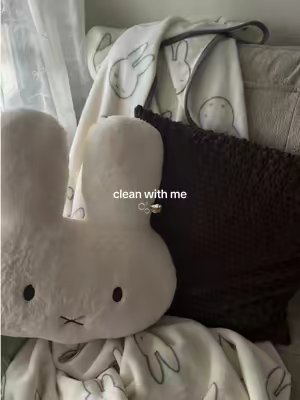 TikTok post by @softlyjali for REDHUT CleanMaster. Caption reads: [...] #cleantok #cleaningtiktok @REDHUT....