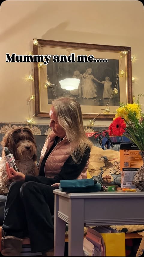 Instagram post by @betsi_bear_the_cockapoo for Bugalugs Pet Care. Caption reads: [...] the amazing grooming products from....