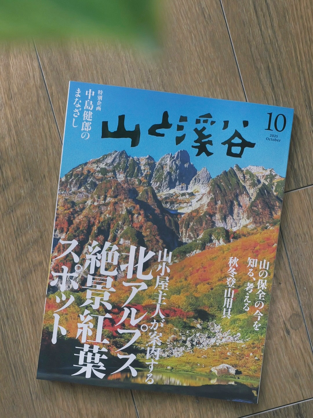 Instagram post by @mayu_ya11 for Thermos. Caption reads: 秋は大好きな季節🍁

「山と溪谷」10月号が発売されました！ @yamakei_editor....