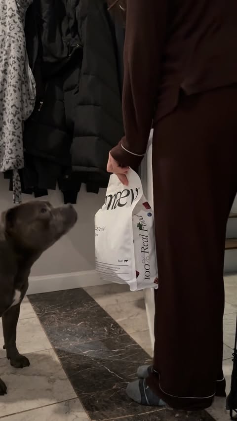 Instagram post by @enzothebluestaffordshire for Maev. Caption reads: Breakfast time ft. @meetmaev yumm yumm yumm....