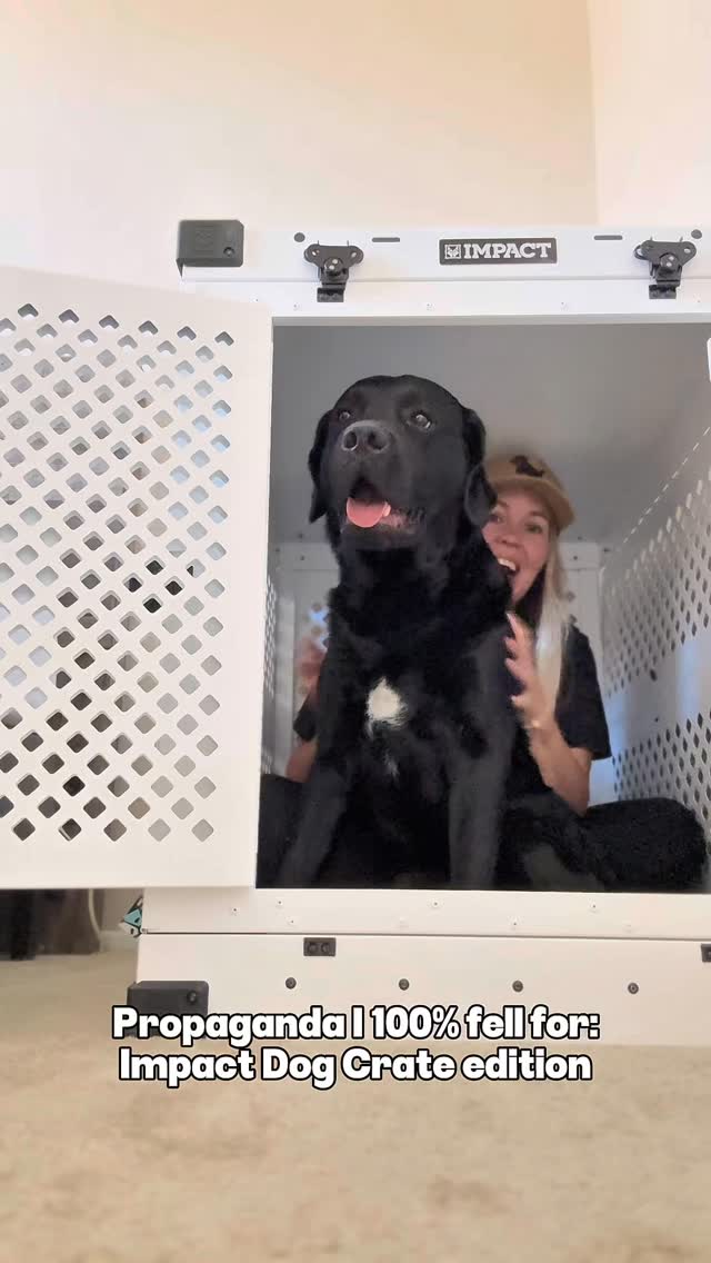 Instagram post by @retrieversonthego for Impact Dog Crates. Caption reads: [...] for and would 100% fall for again....