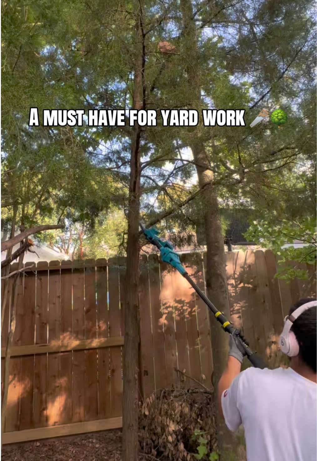 TikTok post by @sleepylilari for SeeSii. Caption reads: the SEESII 2 in 1 cordless pole saw is a must have....
