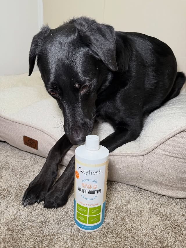 Instagram post by @pawsup4treats for Oxyfresh. Caption reads: @oxyfresh Water additive is such an easy addition....