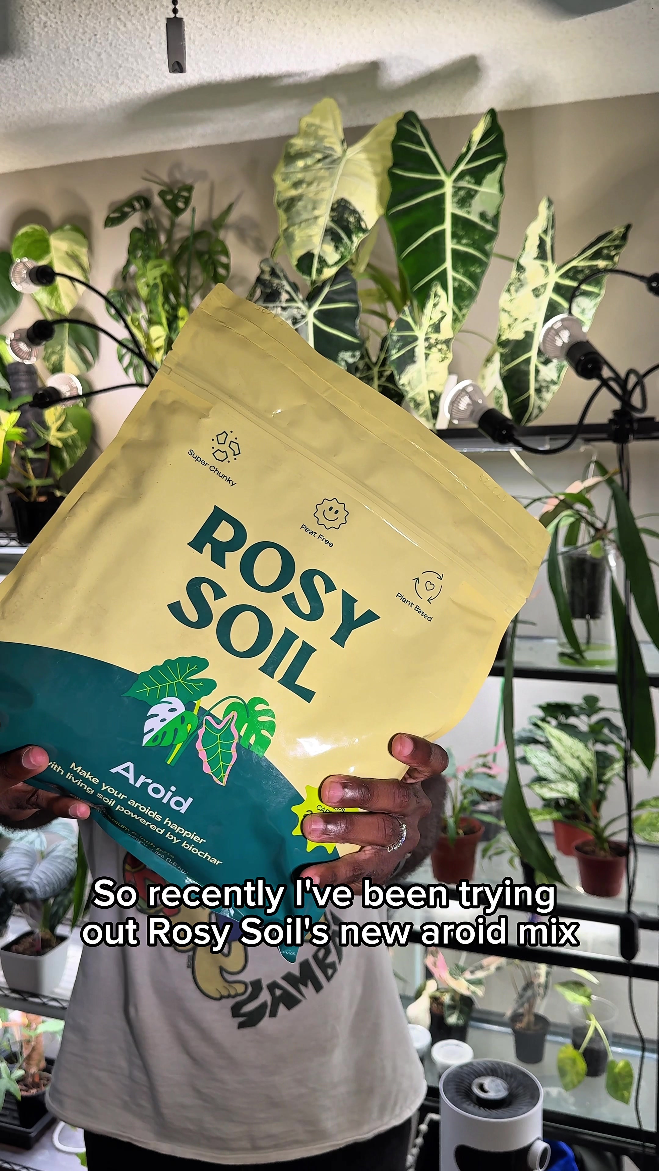 TikTok post by @someguysgarden for Rosy Soil. Caption reads: @Rosy Soil and their new aroid mix is everything I....