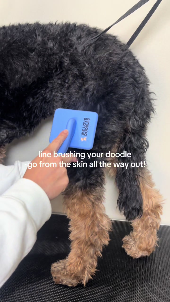 TikTok post by @_its_just_jess_ for We Love Doodles. Caption reads: [...] #tiktokshopblackfriday @WeLoveDoodlesShop.