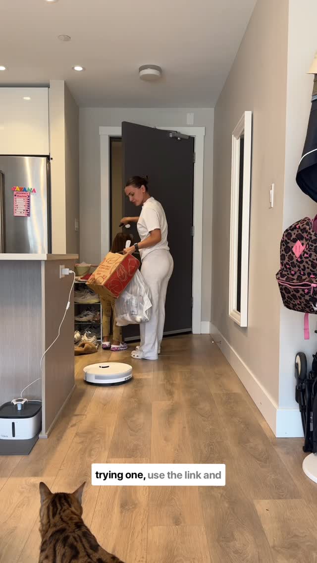 Instagram post by @santanatown for Dreame. Caption reads: My new favorite cleaning buddy! Friends, this....