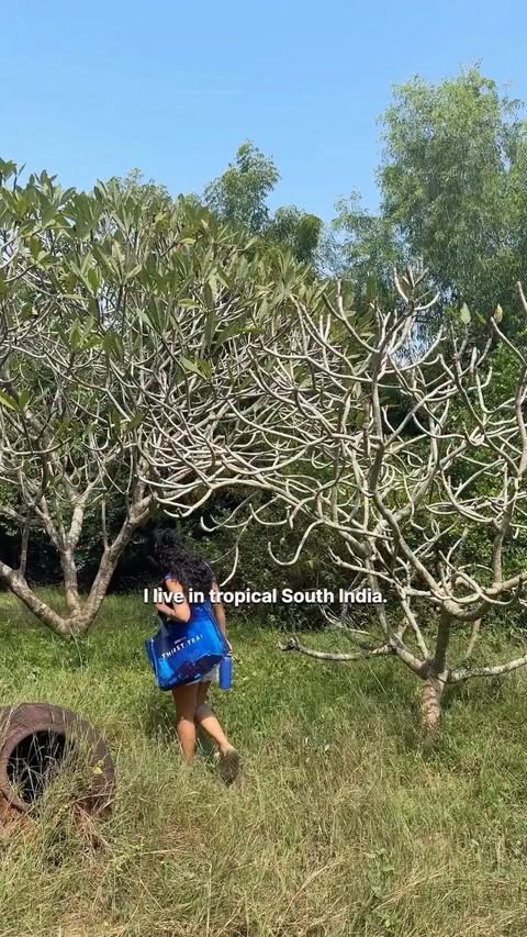 Instagram post by @ahillyeah for TRESemmé. Caption reads: Every actor needs a good co-star… mine just....