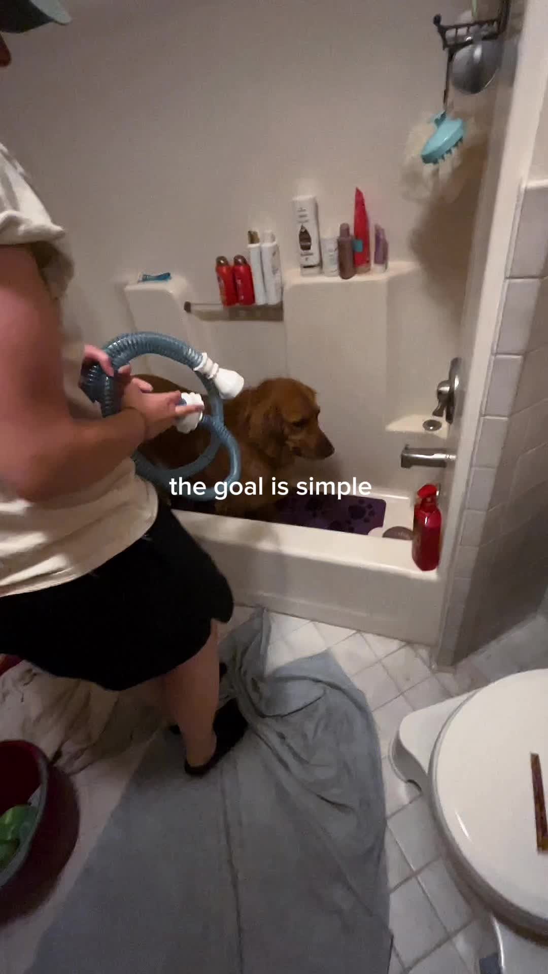 TikTok post by @casey_mn26 for Rinseroo. Caption reads: @Rinseroo™ is a bath time essential! #CapCut [...].