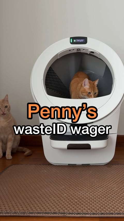 Instagram post by @pennythegingercat for Litter-Robot by Whisker. Caption reads: 💩 or 💦? no more guessing with @thelitterrobot 5....