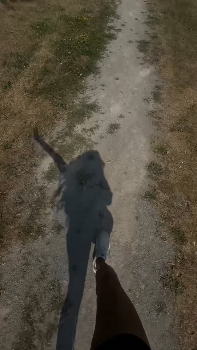 Instagram post by @shannonhaleyyy for Intelligent Change. Caption reads: doing whatever it takes for her to feel safe to....