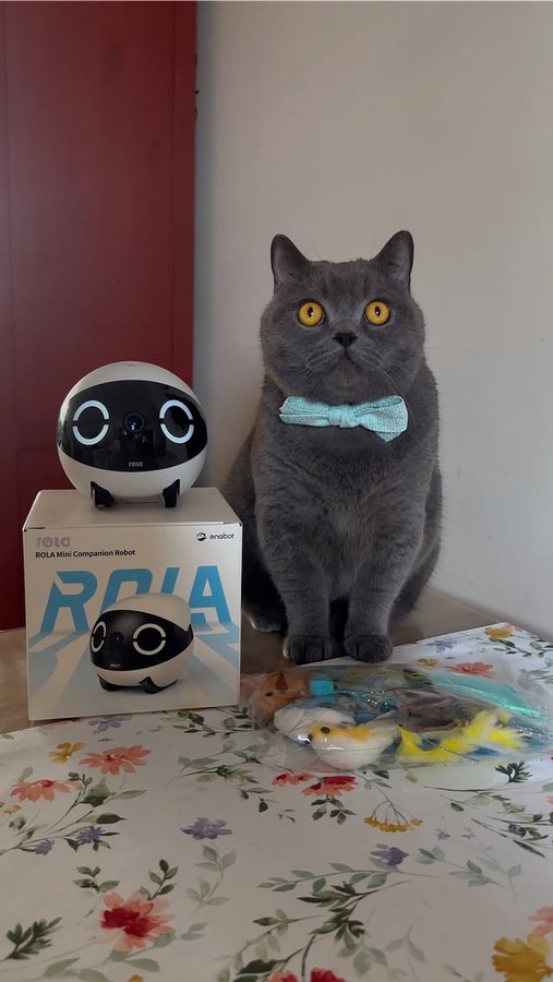 Instagram post by @honchuthebluebrit for Enabot. Caption reads: [...] #catreels #catmemes #explorepage....