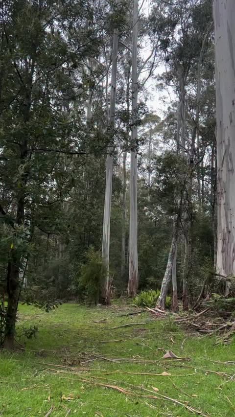 Instagram post by @arc.woman for Ultrahuman. Caption reads: comment 💍 for 30% off any @ultrahumanhq ring.