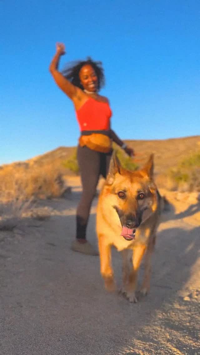 Instagram post by @noamigrevemberg for Ruffwear. Caption reads: Amara’s been the boss since she was a pup, she....