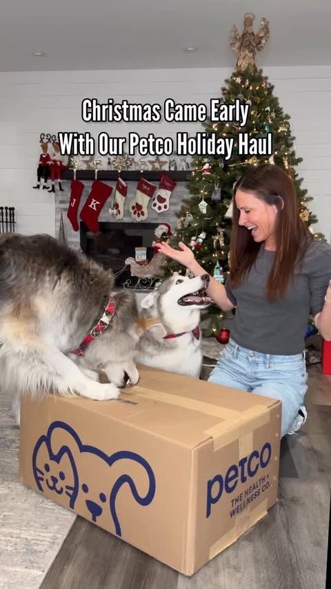 Instagram post by @halfhuskybros for Petco. Caption reads: Unboxing @Petco’s merry must-haves and the vibe....