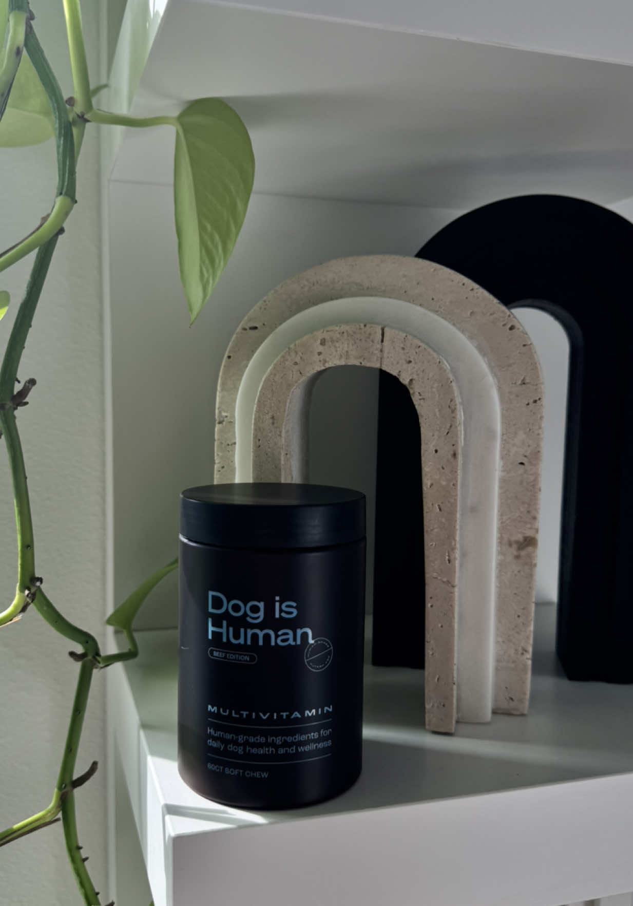 TikTok post by @felixxeats for Dog is Human. Caption reads: @Dog is Human has worked wonders on Drogon’s [...].