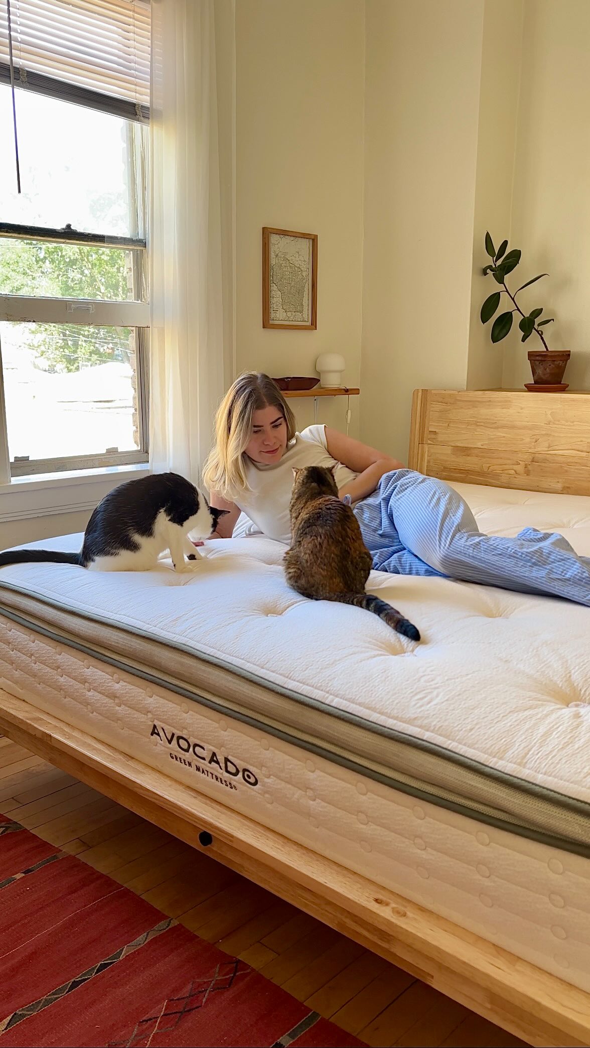 Instagram post by @sustainyrself for Avocado Green Mattress. Caption reads: Comfort shouldn’t come at the expense of our....