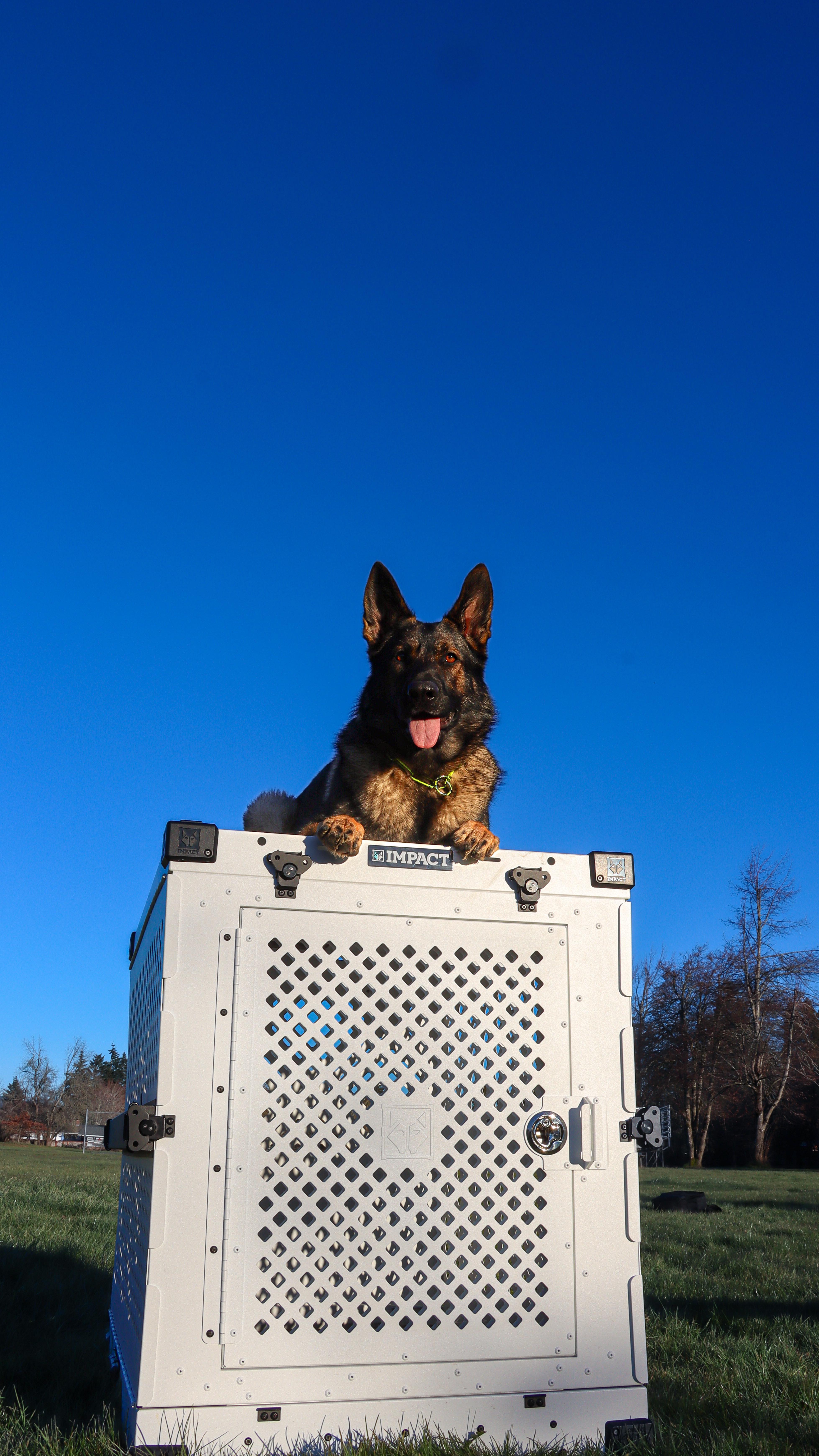 Instagram post by @thepnwk9crew for Impact Dog Crates. Caption reads: She adores her @impactdogcrates White House🤍✨....