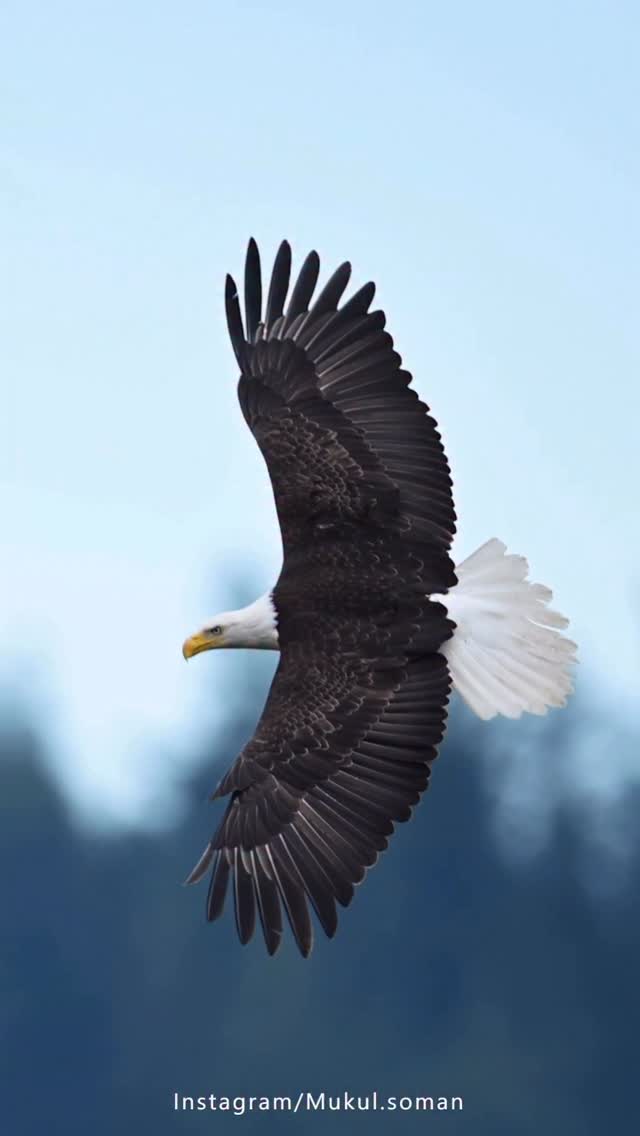 Instagram post by @mukul.soman for NikonUSA. Caption reads: The unparalleled arrival, with majestic ease &....