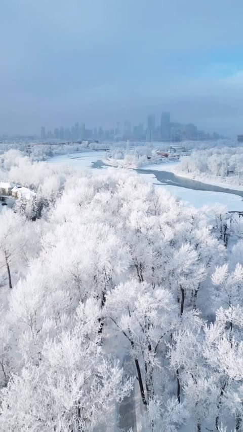 Instagram post by @pushtheimpossible for Travel Alberta. Caption reads: January showing off ❄️.