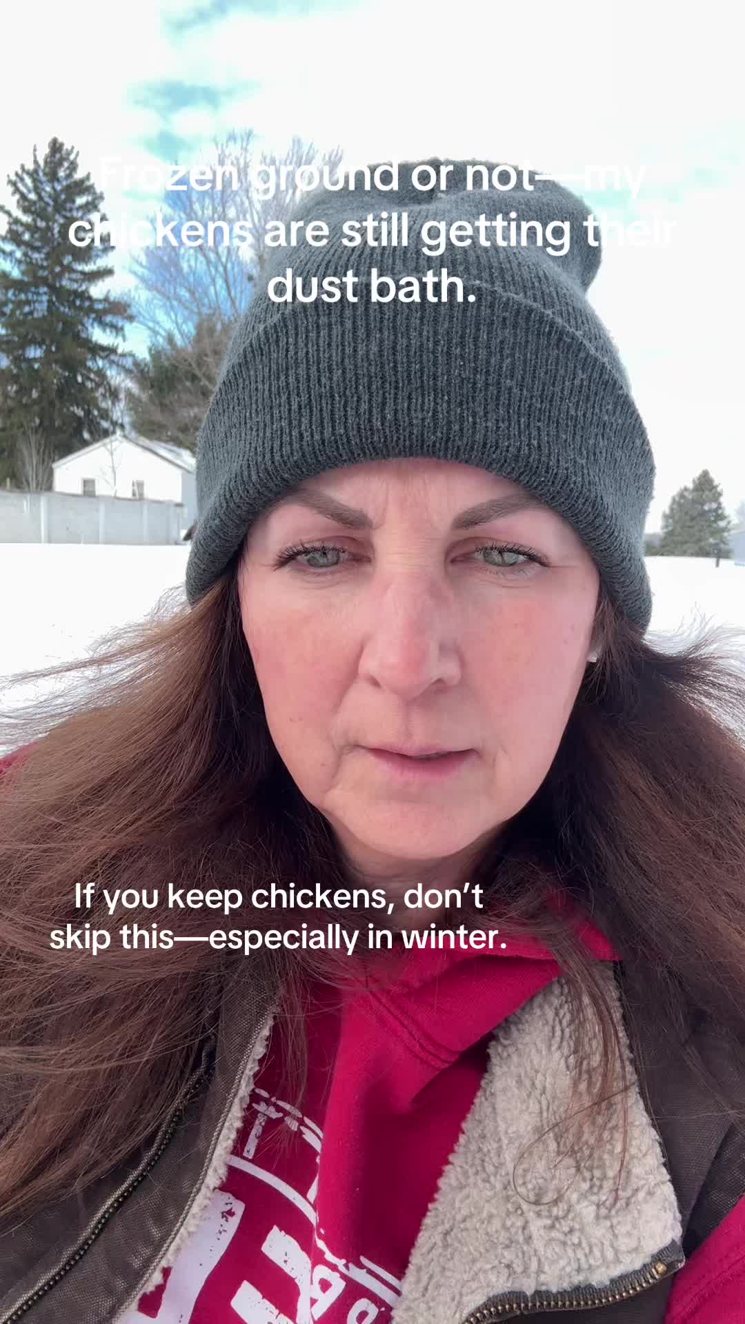 TikTok post by @lifewithlisadawn for Reliant Pet. Caption reads: [...] 2–3 inches of chicken dust bath from Reliant....