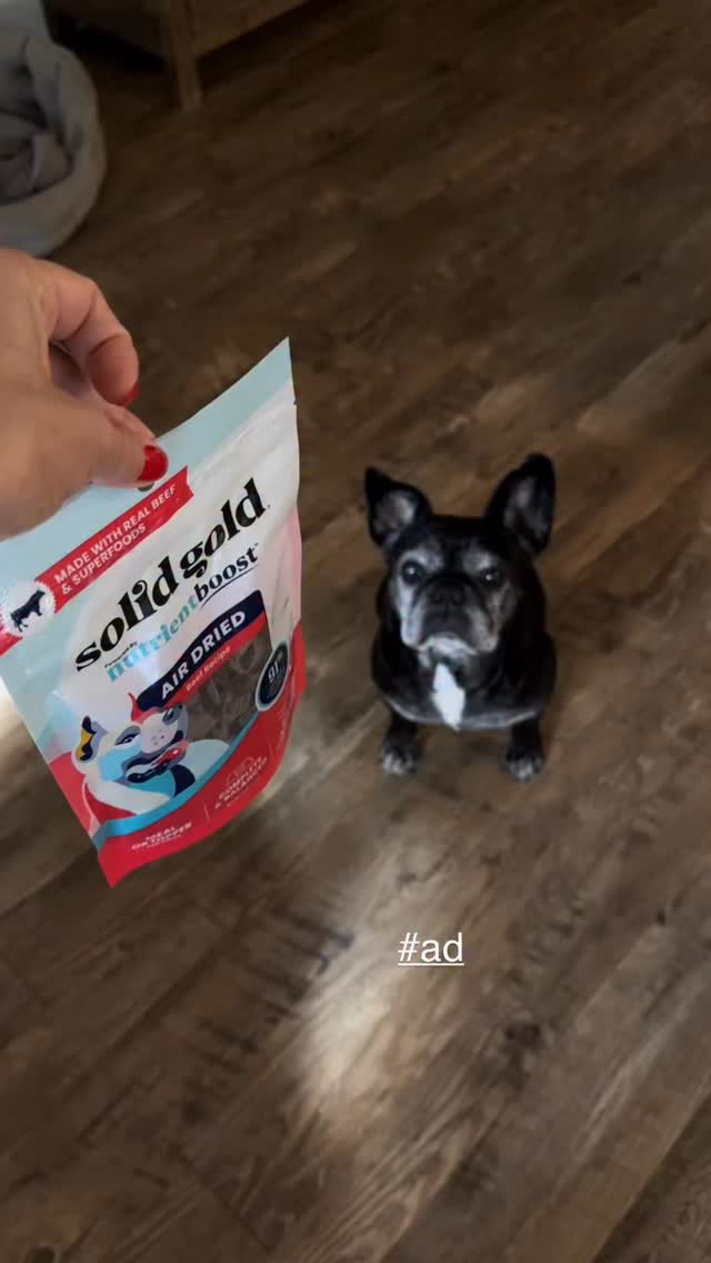 Instagram post by @simplyyuls for Solid Gold Pet. Caption reads: Because they deserve the best bites @solidgoldpets....