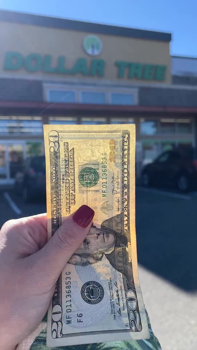 Instagram post by @dtdinners for Dollar Tree. Caption reads: Gave myself a $20 budget and headed to @dollartree....