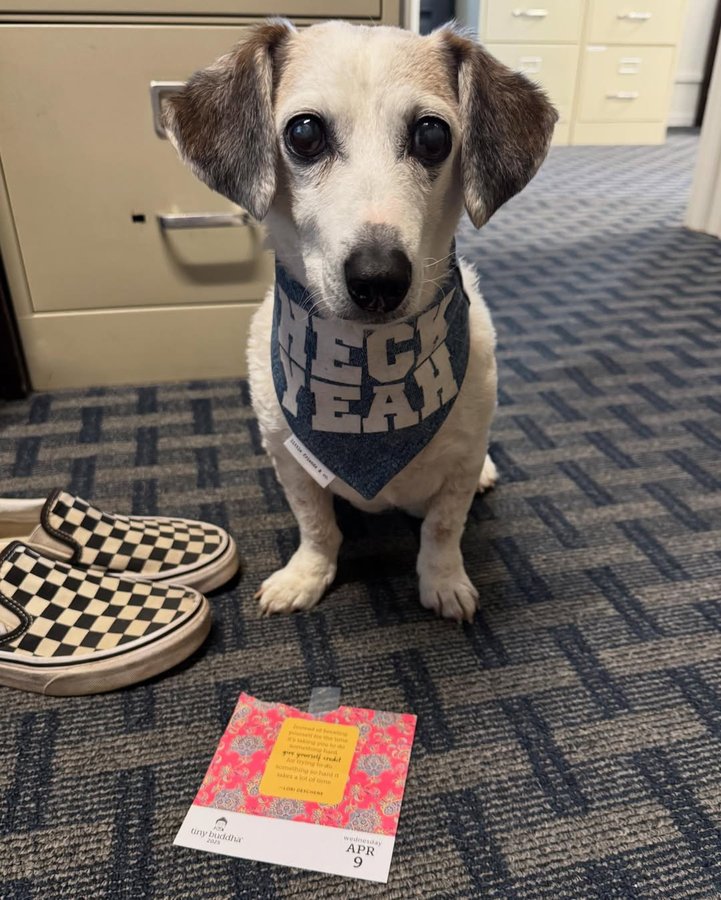 Instagram post by @stanleypotatochip for Corny Dog Cloth. Caption reads: Heck yeah, tiny Buddha! We don’t seem to have any....