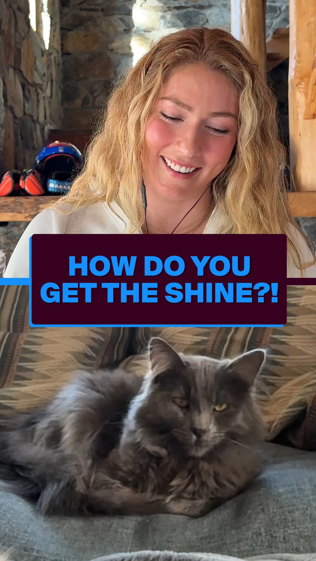 Instagram post by @wtpwithmikaela for Cats of Instagram. Caption reads: Might have to steal Wolf’s shine secrets for....