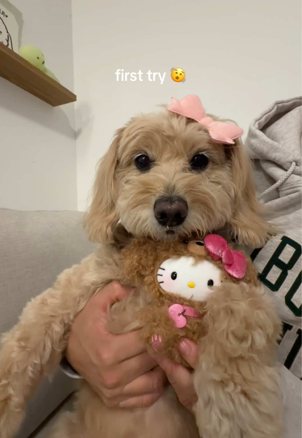 TikTok post by @jonmily for TOPTOY US SHOP. Caption reads: [...] #sanrio #toptoy #toptoyfirstgift @TOPTOY US....