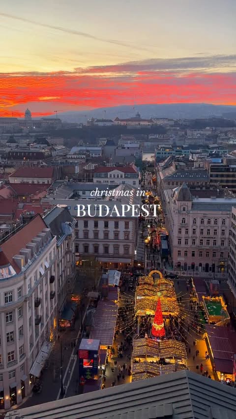 Instagram post by @shewandersabroad for Radisson. Caption reads: [...] into a little festive staycation with....